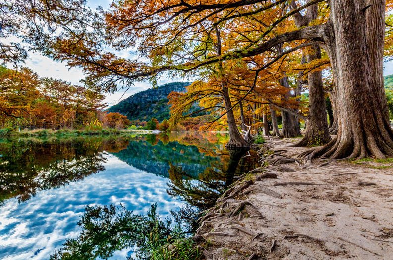 Fall scene photo in Texas